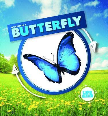 Kirsty Holmes - Life Cycle of a Butterfly, Inbunden