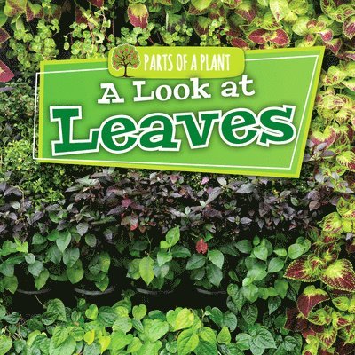 Lindsey Lowe - A Look at Leaves, Häftad