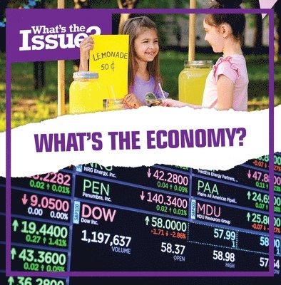 Simon Pierce - What's the Economy?, Häftad