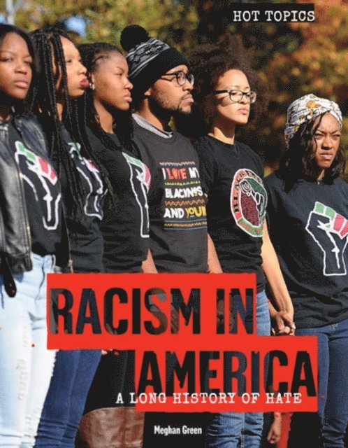 Meghan Green - Racism in America, E-bok