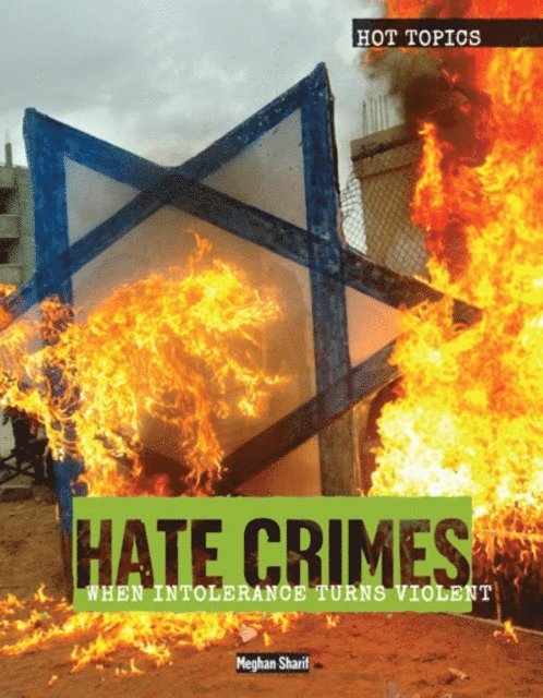 Meghan Sharif - Hate Crimes, E-bok