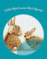 Cara Jordan - Little Skye Learns She's Special, Häftad. Tillgänglighet: Lägg i varukorg