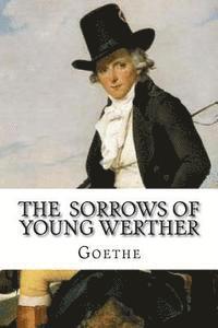 Goethe, Edibooks - The Sorrows of Young Werther, Häftad