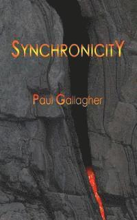 Paul Gallagher - Synchronicity, Häftad