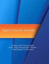 Law Library of Congress, Penny Hill Press - Right to Peaceful Assembly: European Court of Human Rights, Häftad