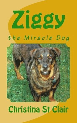 Christina St Clair - Ziggy, the Miracle Dog, Häftad. Tillgänglighet: Lägg i varukorg