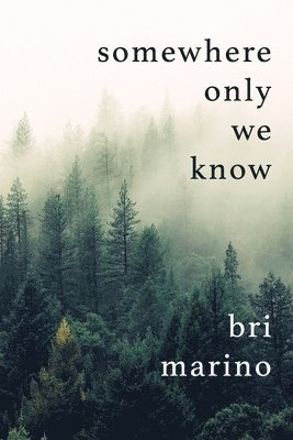 Genz Publishing, Morissa Schwartz - somewhere only we know, Häftad. Tillgänglighet: Lägg i varukorg