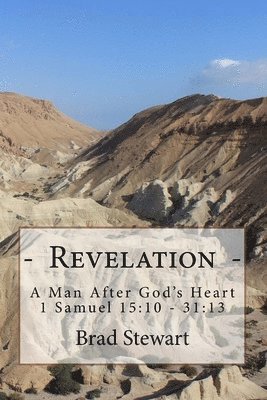 Brad Stewart - Revelation - A Man After God's Heart, Häftad. Tillgänglighet: Lägg i varukorg