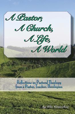 Win Groseclose - A Pastor, A Church, A Life, A World: Reflections on Pastoral Theology from a Pastor, Teacher, and Theologian, Häftad. Tillgänglighet: Lägg i varukorg