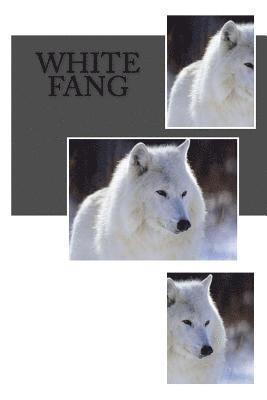 Jack London, Angel Sanchez - White Fang, Häftad. Tillgänglighet: Lägg i varukorg