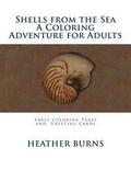 Shells From the Sea: Coloring Pages and Greeting Cards