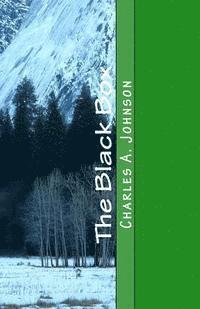 Charles a. Johnson - The Black Box: The Silver Quest: Part 2, Häftad. Tillgänglighet: Lägg i varukorg