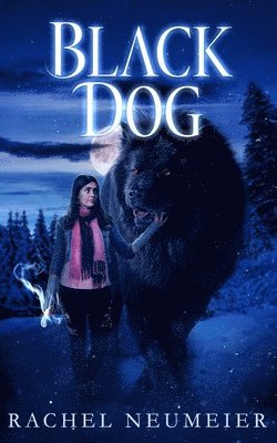 Rachel Neumeier - Black Dog, Häftad