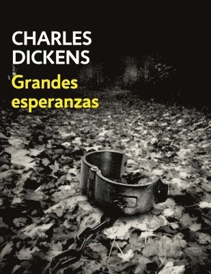 Erick Winter, Charles Dickens - Grandes Esperanzas (Spanish Edition), Häftad. Tillgänglighet: Lägg i varukorg