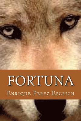 Enrique Perez Escrich, Onlyart Books - Fortuna, Häftad. Tillgänglighet: Lägg i varukorg