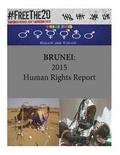 Brunei: 2015 Human Rights Report