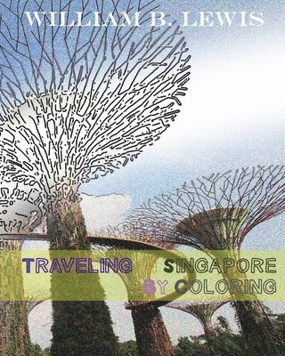 William B. Lewis - Traveling In Singapore By Coloring, Häftad. Tillgänglighet: Lägg i varukorg