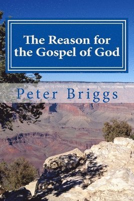 Peter Briggs - The Reason for the Gospel of God: Walking in the Way of Christ & the Apostles Study Guide Series, Part 3, Book 14, Häftad. Tillgänglighet: Lägg i varukorg