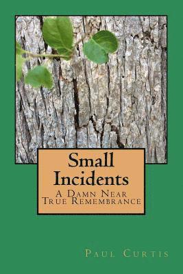 Paul Curtis - Small Incidents: A Damn Near True Remembrance, Häftad