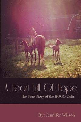 Jennifer Wilson - A Heart Full of Hope: The True Story of the BOGO Colts, Häftad. Tillgänglighet: Lägg i varukorg