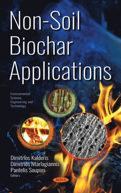 Pantelis Soupios, Dimitrios Ntarlagiannis, Dimitrios Kalderis - Non-Soil Biochar Applications, E-bok
