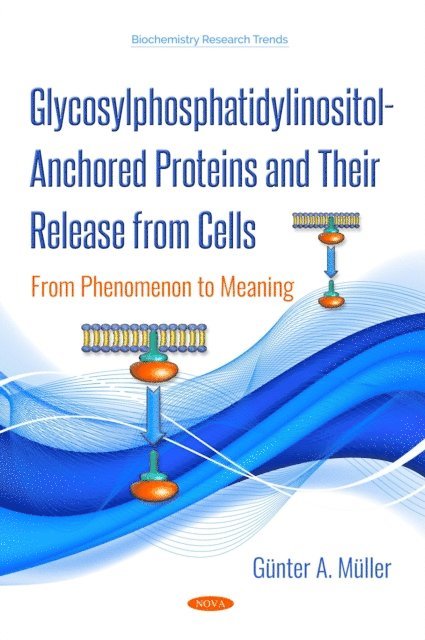 Guenter A Mueller - Glycosylphosphatidylinositol-Anchored Proteins and Their Release from Cells, E-bok
