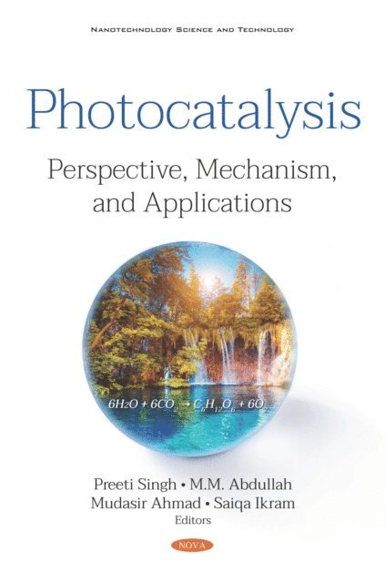 Preeti Singh - Photocatalysis: Perspective, Mechanism, and Applications, E-bok