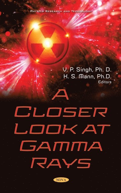 V. P. Singh - Closer Look at Gamma Rays, E-bok