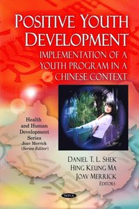 Positive Youth Development: Implementation of a Youth Program in a Chinese Context