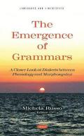 The Emergence of Grammars