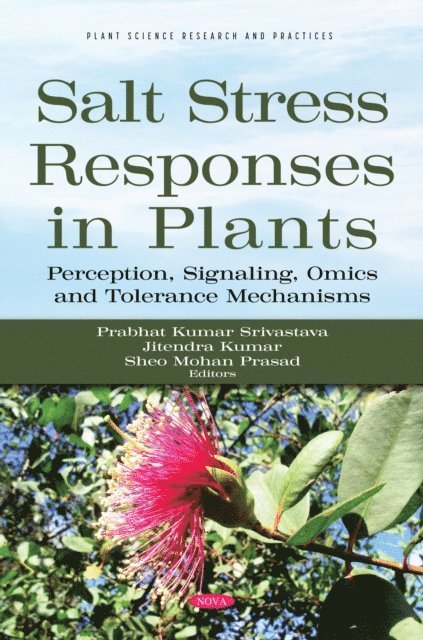 Prabhat Kumar Srivastava - Salt Stress Responses in Plants: Perception, Signaling, Omics and Tolerance Mechanisms, E-bok