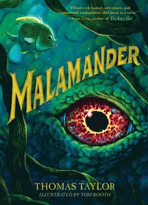 Thomas Taylor - Malamander, Inbunden