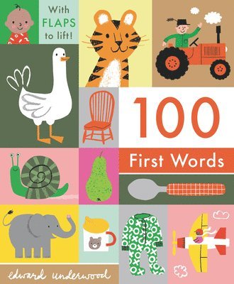 100 First Words: With Flaps to Lift, Kartonnage