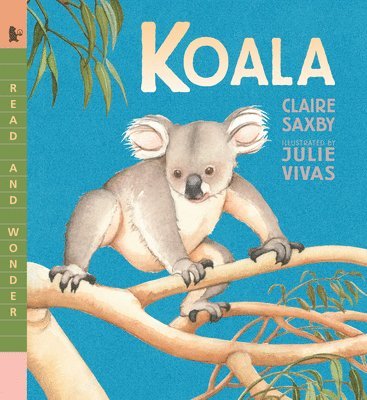Claire Saxby - Koala: Read and Wonder, Häftad