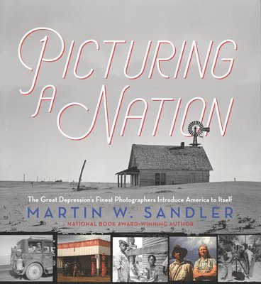 Martin W. Sandler - Picturing a Nation: The Great Depression's Finest Photographers Introduce America to Itself, Inbunden