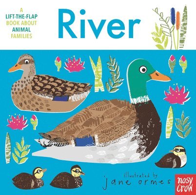 Animal Families: River, Kartonnage