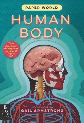 The Templar Company Ltd - Paper World: Human Body, Inbunden