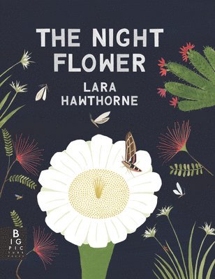 Lara Hawthorne - The Night Flower, Häftad