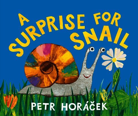 Petr Horácek - A Surprise for Snail, Inbunden