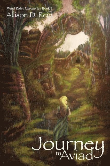 Allison D. Reid - Journey to Aviad, E-bok