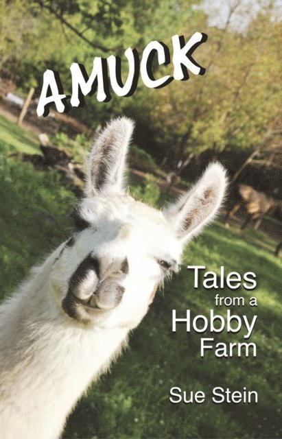Sue Stein - Amuck: Tales From a Hobby Farm, E-bok