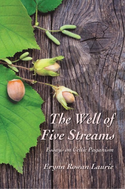 Erynn Rowan Laurie - Well of Five Streams Essays on Celtic Paganism, E-bok