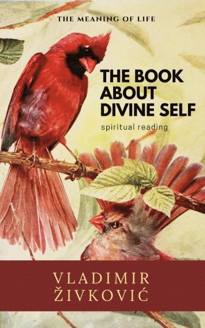 Vladimir Zivkovic - Book About Divine Self, E-bok