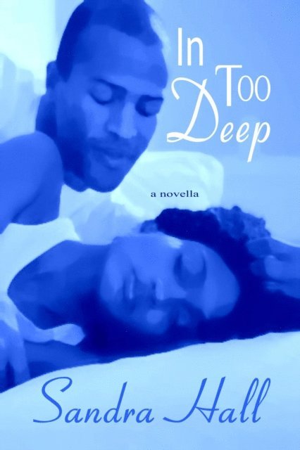 Sandra Hall - In Too Deep, E-bok