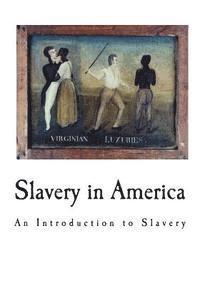 Theodore Dwight Weld - Slavery in America, Häftad