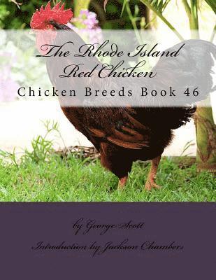 George Scott - The Rhode Island Red Chicken: Chicken Breeds Book 46, Häftad. Tillgänglighet: Lägg i varukorg