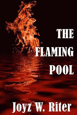 Joyz W. Riter - The Flaming Pool, Häftad. Tillgänglighet: Lägg i varukorg