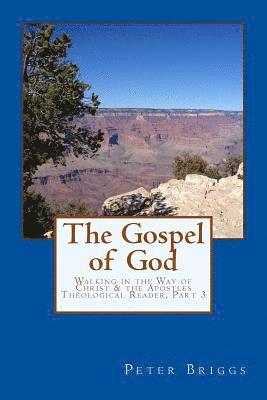 Peter Briggs - The Gospel of God: Walking in the Way of Christ & the Apostles Theological Reader, Part 3, Häftad. Tillgänglighet: Lägg i varukorg
