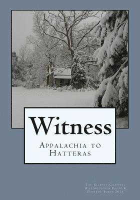 Ted Wojtasik, Ted Wojtasik - Witness: Appalachia to Hatteras: The Gilbert-Chappell Distinguished Poets & Student Poets 2016, Häftad