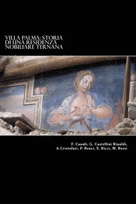 Giovanni Castellini Rinaldi, Michele Rossi - Villa Palma: Storia di una residenza nobiliare ternana: Atti del Convegno "SalviAmo Villa Palma" tenutosi a Palazzo Gazzoli il 15 dicembre 2012, Häftad. Tillgänglighet: Lägg i varukorg